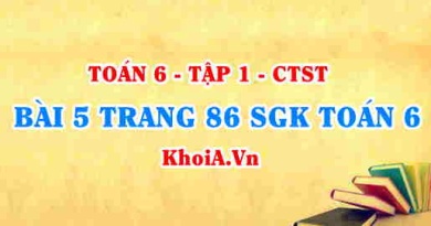 Bài 5 trang 86 SGK Toán 6 Chân trời sáng tạo Tập 1